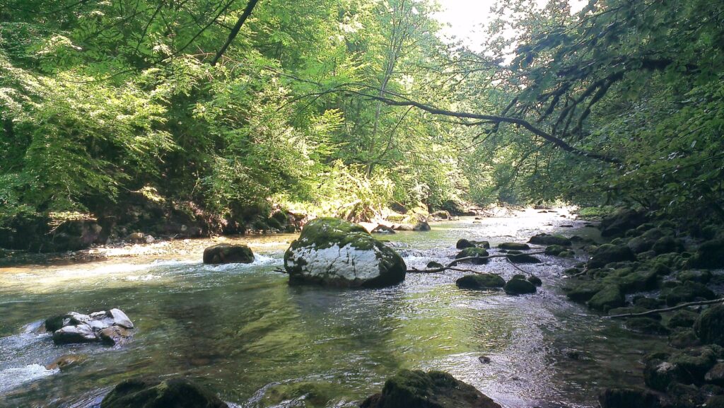 photo du Chéran