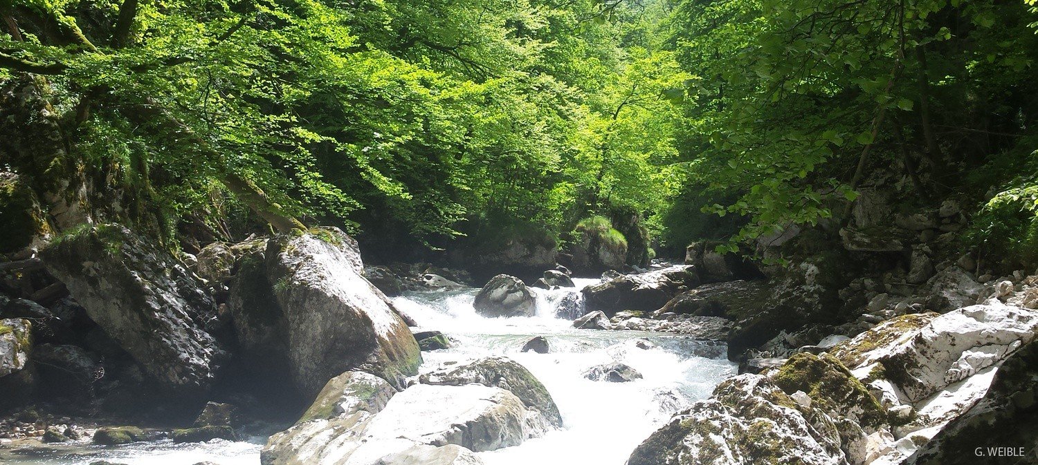 Le Parc naturel régional de Chartreuse, soucieux de préserver ses rivières d’exception…