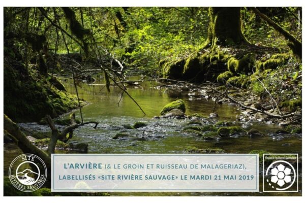 Arviere_cadre_labellisation_RS-1030x666