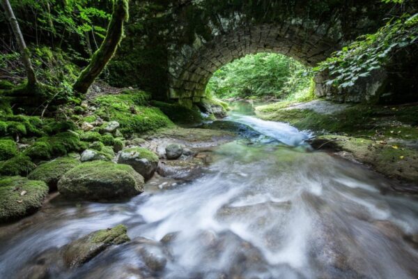 arviere_cc_CD01_Sebastien_Tournier-1030x686