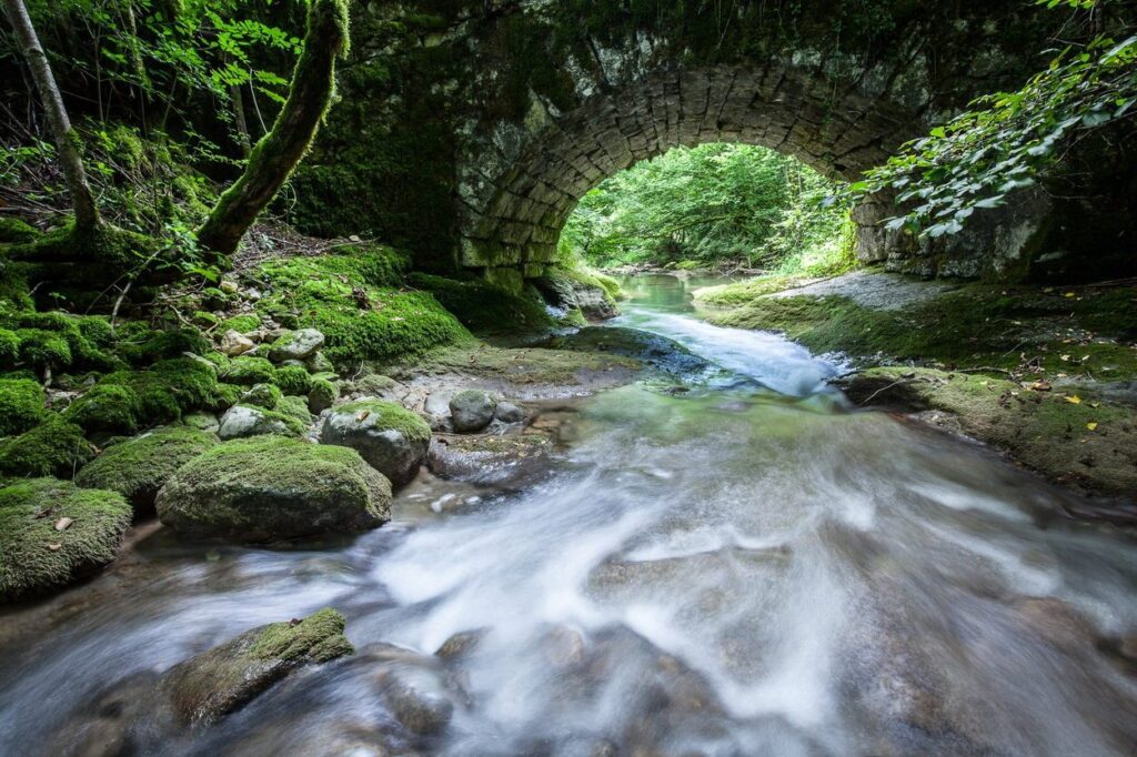 Photo de l'Arvière