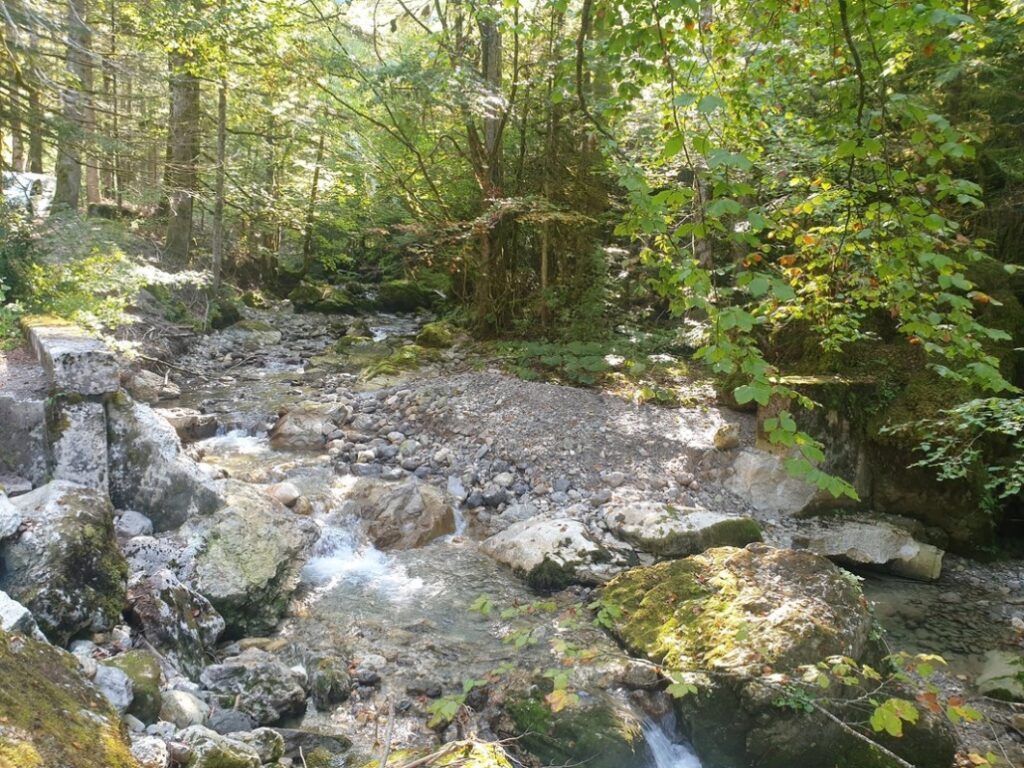 Photo du Guiers mort