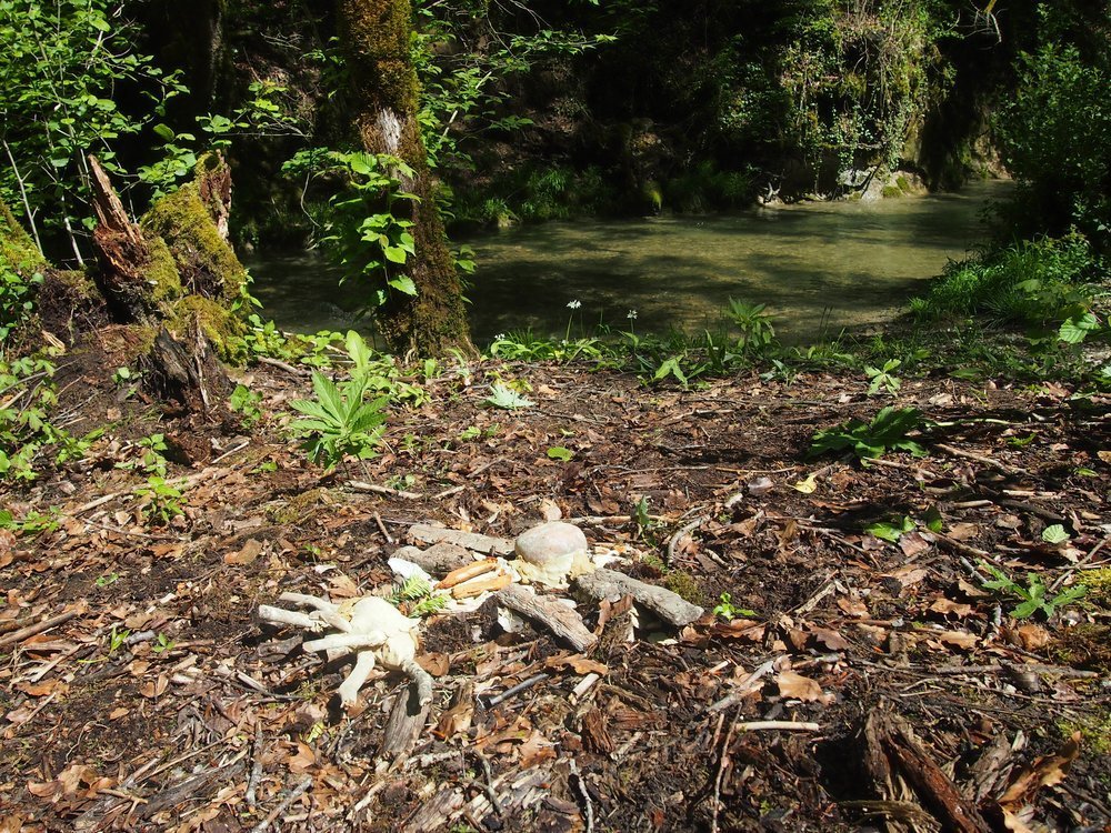 Conférence pour la reconnaissance des droits de la nature dans l’Union européenne – 22 avril 2021