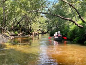 Photo de personnes faisant du canoe à la grande Leyre