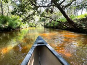 Photo d'un canoe à la grande Leyre