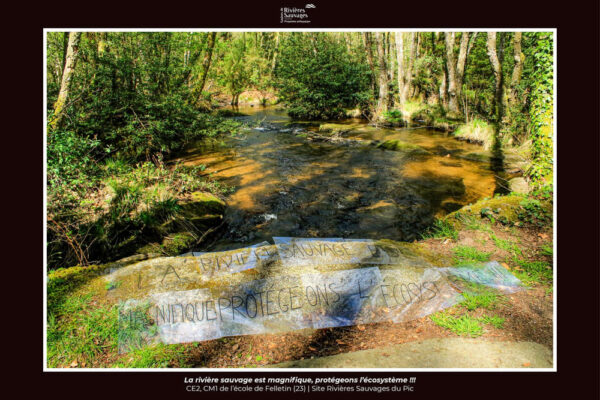 Photo du Pic avec un texte " La rivière est magnifique, protégeons l'ecosystème " - Classes de CE2 et CM1 - Ecole de Felletin