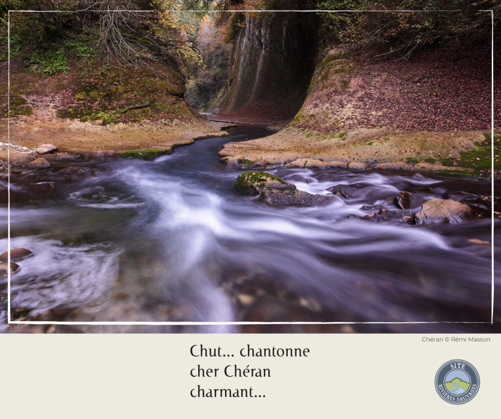 Imazge du Cheran - par Rémi Masson