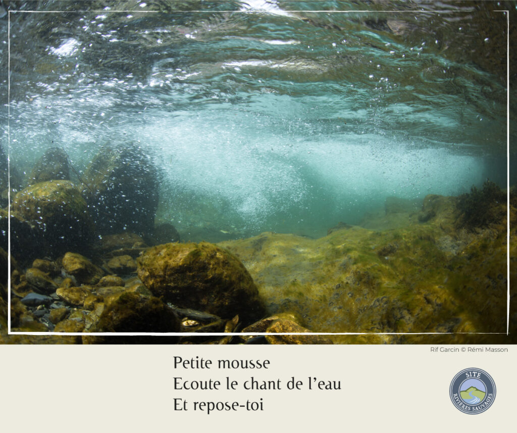 Photo du Rif Garcin - par Rémi Masson