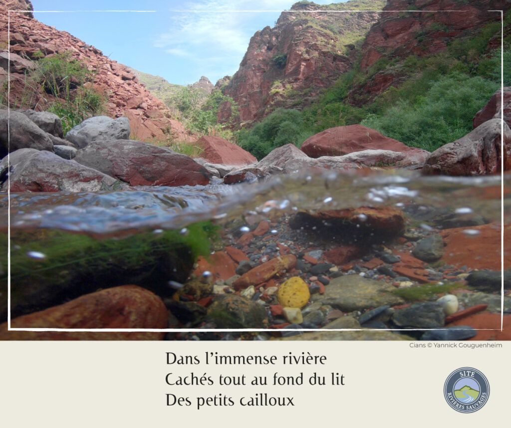 Photo du Cians - par Yannick Gouguenheim