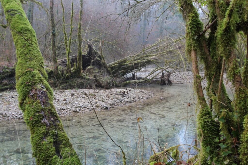 Image de la Dorche, cellier
