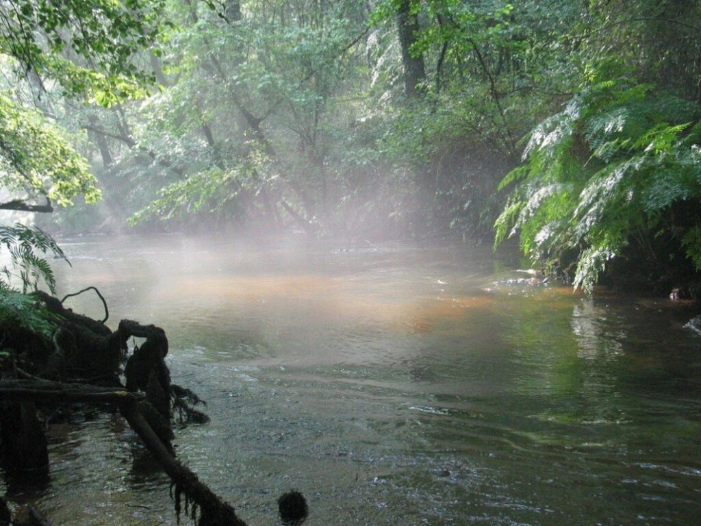 photo de la Grande Leyre