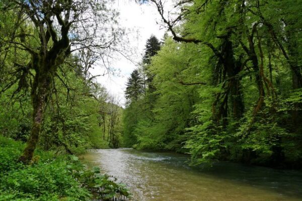 Image de la Rêverotte