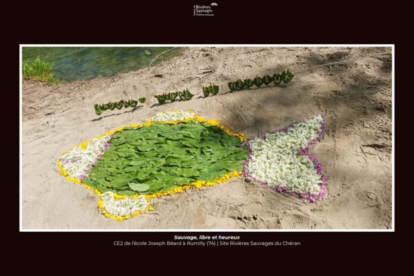 23-20_ec_joseph_beard_rumilly_CE2_cheran 23-20_ec_joseph_beard_rumilly_CE2_cheran