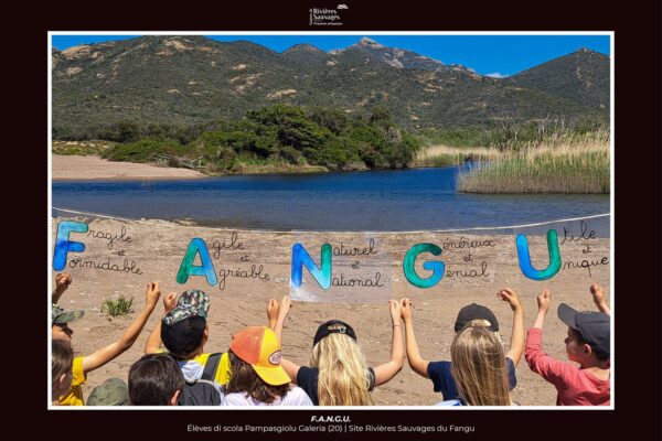 23-37_ec_galeria_Mat-CP-CE-CM_fangu 23-37_ec_galeria_Mat-CP-CE-CM_fangu