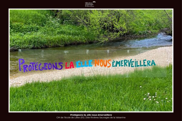 23-75_ec_lelex_CM_valserine 23-75_ec_lelex_CM_valserine