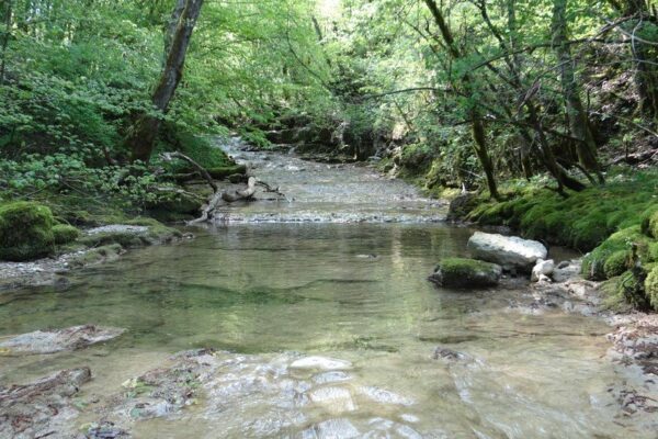 photo de la Vézéronce - par Rivières Sauvages