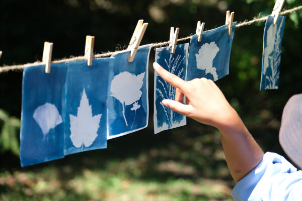 Atelier cyanotype