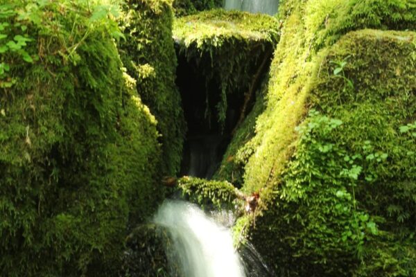 Aygueneyre_cc_SMBVDoux (4)