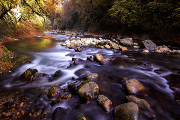 Rivière Le Chéran.

Le Chéran est un cours d'eau labellisé "Rivière sauvage" par le Fonds pour la Conservation des Rivières Sauvages.

Département de la Haute-Savoie 74, Parc Naturel Régional du massif des Bauges, Héry sur Alby.