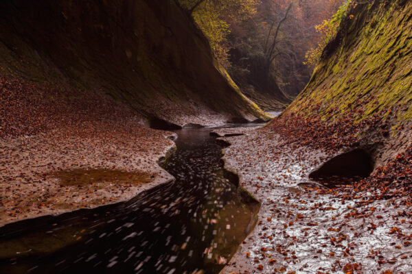 Rivière Le Chéran.

Le Chéran est un cours d'eau labellisé "Rivière sauvage" par le Fonds pour la Conservation des Rivières Sauvages.

Département de la Haute-Savoie 74, Parc Naturel Régional du massif des Bauges, Héry sur Alby.