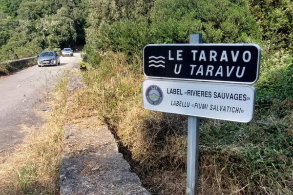 2025_06_12_reunion_reseau_taravo_v_bes-18