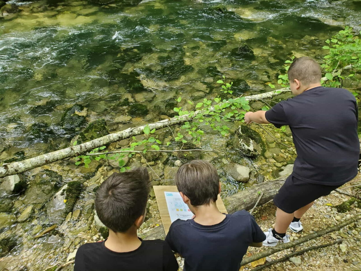 Une semaine d’animations scolaires autour des Sites Rivières Sauvages de l’Ain