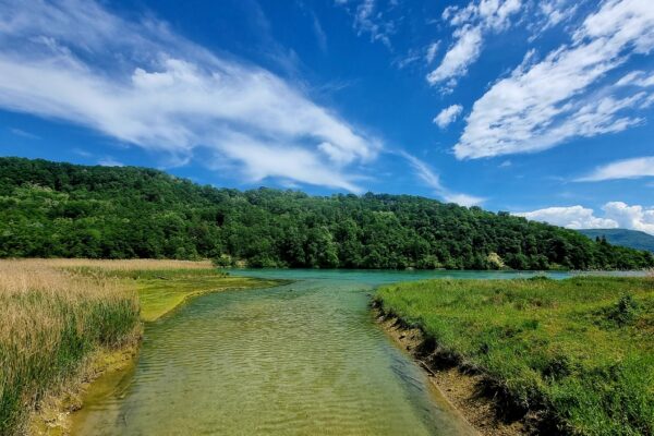 lorsque-la-dorche-embrasse-le-rhone_cc_bib-chanay
