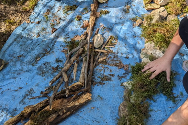 20251002_anim_valserine