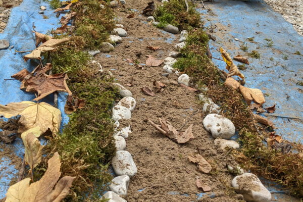 20251009_anim_valserine