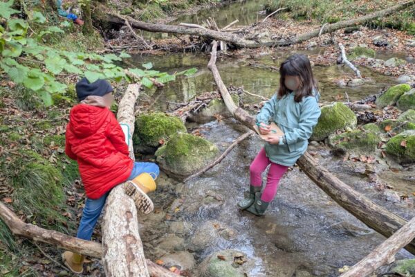 20251014_anim_arviere_7