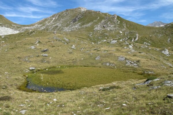 04 zone humide haute du Remous