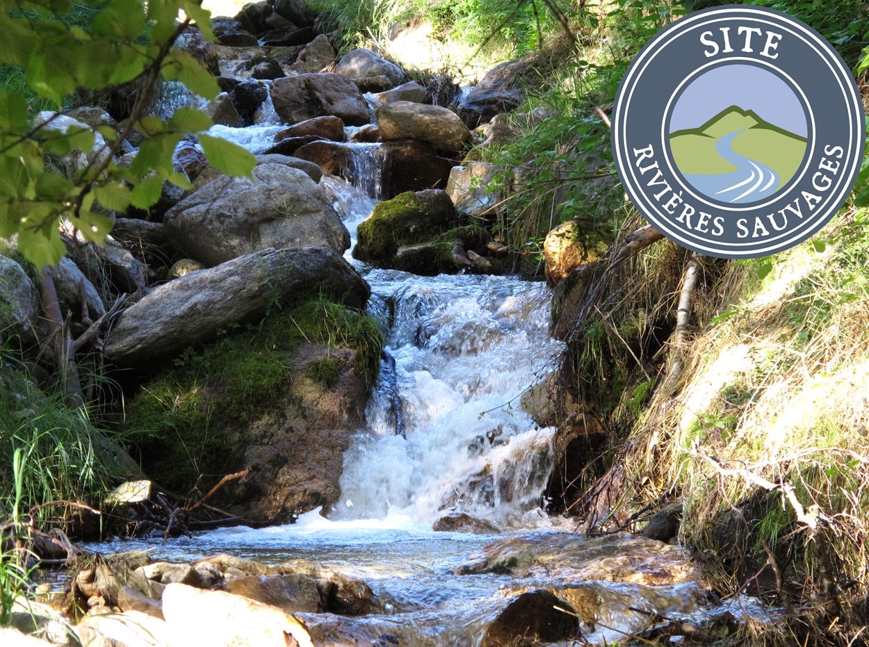 Nouveau cours d’eau protégé en Savoie, le Remous obtient le label Site Rivières Sauvages