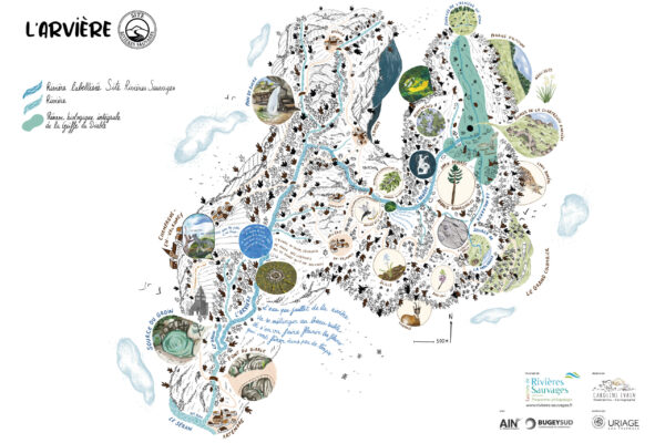 Graines2026_Carte Arviere_ARRS_Caroline-Evain