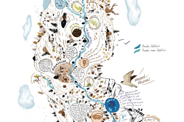 Graines2026_Carte Gourdouze_ARRS_Caroline-Evain