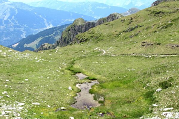 zone humide_cc_Remous-Sauvage